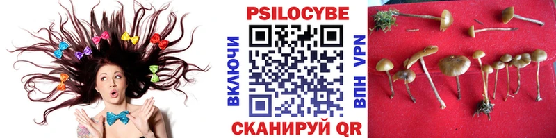 Псилоцибиновые грибы мухоморы  Зверево 