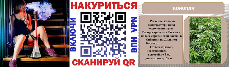 Шишки марихуана семена Зверево